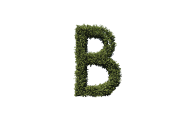 Şeffaf arkaplanda çim bulunan b harfinin dijital png çizimi. İzole görüntü, harf ve doğa kavramı.