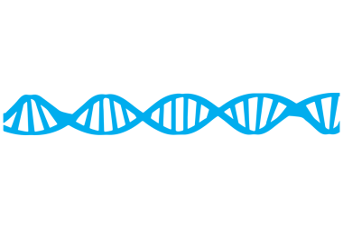 Şeffaf arkaplanda mavi uzun DNA zincirinin dijital png çizimi. İzole görüntü, bilim, bilgi, tıp.