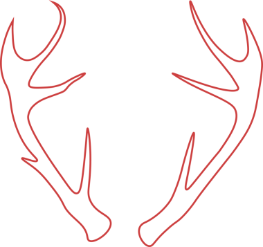 Saydam arka planda kırmızı geyik boynuzlarının dijital png çizimi. İzole görüntü, avlanma ve dekorasyon.