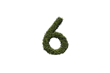 Saydam arkaplanda çim bulunan 6 rakamlı dijital png illüstrasyonu. İzole görüntü, sayı ve doğa kavramı.