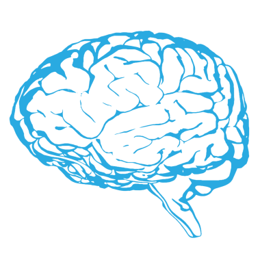 Saydam arka planda mavi insan beyninin dijital png çizimi. Ayrı görüntü, renk, şekil ve düşünce.