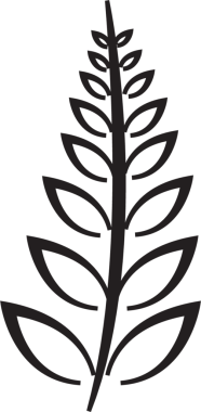 Şeffaf arkaplanda siyah bitkinin dijital png çizimi. İzole görüntü, doğa ve şekiller kavramı.