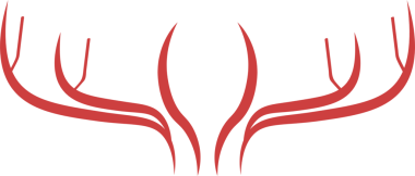 Şeffaf arkaplanda kırmızı dekoratif desenlerin dijital png çizimi. Ayrı görüntü, renk, şekil ve tasarım arkaplanı.