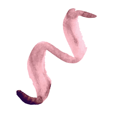 Şeffaf arkaplanda pembe girdap şeklinin dijital png çizimi. Ayrı görüntü, şekil, renk ve desen.