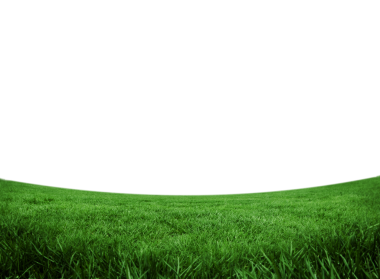 Saydam arka planda çimlerin olduğu dijital png çizimi. İzole görüntü, doğa ve manzara konsepti.