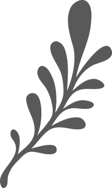 Saydam arkaplanda gri yaprakların dijital png çizimi. İzole görüntü, doğa, arkaplan tasarımı ve desen.