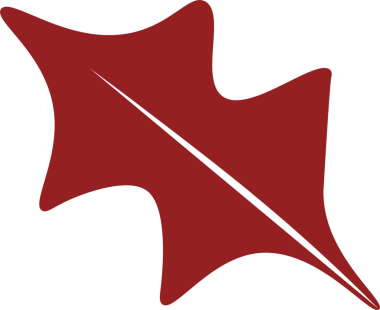 Şeffaf arkaplanda kırmızı yaprak deseninin dijital png çizimi. İzole görüntü, doğa, tasarım arkaplanı.