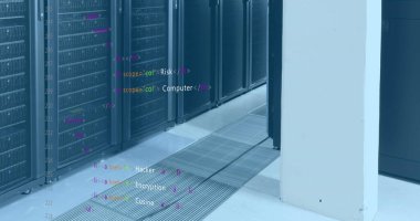 Veri sunucu rafları üzerinde bilgisayar dili resmi. Dijital bileşik, çoklu pozlama, kodlama, veri işleme, ağ güvenliği, veri merkezi, ağ oluşturma, teknoloji, ağ sunucusu.