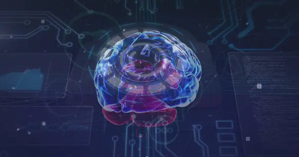 stock image A digital rendering of human brain with vibrant colors and intricate details. The background features a futuristic interface with circuit patterns and data visualizations