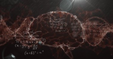Matematiksel denklemler, ışık noktası ve insan beyninin dönen ikonu üzerindeki dijital dalga. Tıbbi araştırma ve bilim teknolojisi kavramı