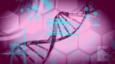 DNA ipliği ve kimyasal formül üzerinde veri işleme animasyonu. Bilim, teknoloji ve dijital arayüz kavramı dijital olarak oluşturulmuş video.