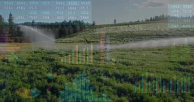 Tarımsal veri analizi, yeşil alanda çalışan çiftçilerle ilgili. Tarım, teknoloji, yenilik, tarım, mahsul, sürdürülebilirlik