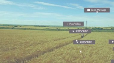 Buğday tarlasında yürüyen kişi hakkında sosyal medya bilgilendirmeleri. Teknoloji, doğa, manzara, tarım, dijital, fütüristik