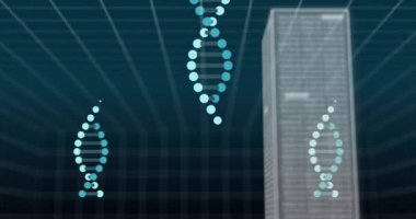 DNA iplikçiklerinin dönmesi üzerine dijital veri işleme animasyonu. Küresel bilim, bağlantılar, hesaplama ve veri işleme kavramı dijital olarak oluşturulmuş video.