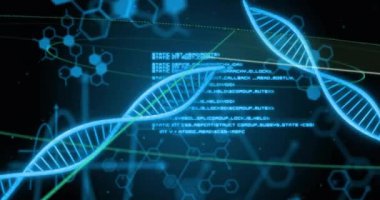 DNA iplikçiklerinin animasyonu ve siyah arka planda bilimsel veri işleme. Küresel bilim, yapay zeka, bağlantılar, hesaplama ve veri işleme kavramı dijital olarak oluşturulmuş video.