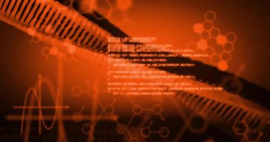 Turuncu arkaplandaki DNA ipliği üzerinde kimyasal formülle veri işleme animasyonu. Küresel bilim, bilgisayar ve dijital arayüz kavramı dijital olarak oluşturulmuş video.