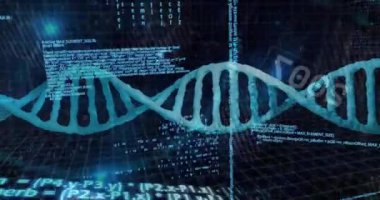 DNA dizisi ve ikili kodlama, bilimsel veri işleme animasyonu. Genetik, biyoteknoloji, araştırma, bilim, biyoenformatik, molekül kavramları