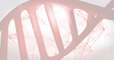 DNA ipliği ve ağ bağlantıları, bilimsel araştırma animasyonu. Bilim, biyoteknoloji, genetik, moleküler, laboratuvar, yenilik