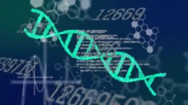 DNA ipliği ve kimyasal formül üzerinde veri işleme animasyonu. Küresel bilim ve dijital arayüz kavramı dijital olarak oluşturulmuş video.