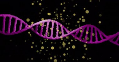 Hareket eden yerlerdeki DNA iplikçiklerinin animasyonu. Teknoloji, bilim ve dijital arayüz kavramı dijital olarak oluşturulmuş video.