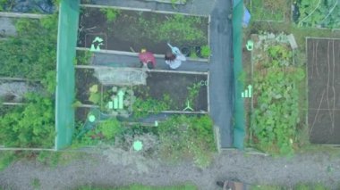 Çevresel ikonlar ve karbondioksit animasyonlarıyla bahçeyle uğraşan insanların en iyi görüntüsü. sürdürülebilirlik, ekoloji, ekim, organik, doğa, sera