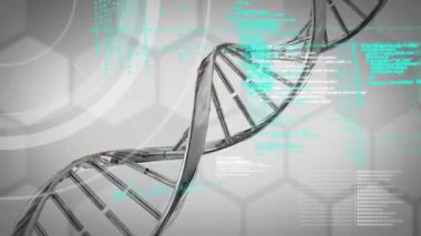 DNA ipliği üzerinde veri işleme animasyonu. Teknoloji, bilim ve dijital arayüz kavramı dijital olarak oluşturulmuş video.