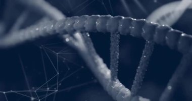 Siyah arkaplandaki bağlantıların üzerindeki DNA iplikçiklerinin animasyonu. Küresel bilim, bilgisayar ve dijital arayüz kavramı dijital olarak oluşturulmuş video.