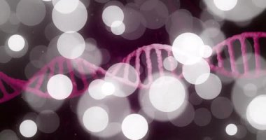 Beyaz noktaların üzerinde hareket eden DNA iplikçiklerinin canlandırılması. Bilim, teknoloji ve dijital arayüz kavramı dijital olarak oluşturulmuş video.