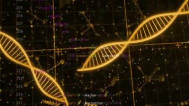 Siyah arkaplan üzerinde DNA ipliği ve veri işleme animasyonu. Bilim, teknoloji ve dijital arayüz kavramı dijital olarak oluşturulmuş video.