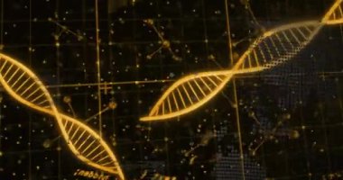 DNA iplikçiklerinin animasyonu, siyah arka planda veri işleme. Küresel bilim, yapay zeka, bağlantılar, hesaplama ve veri işleme kavramı dijital olarak oluşturulmuş video.