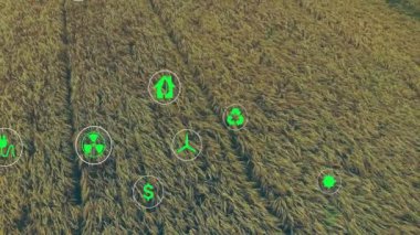 Buğday tarlasının havadan görünüşü üzerinde sürdürülebilirlik ve çevre dostu ikonlar. çevre, doğa, tarım, yeşil, yenilenebilir, teknoloji