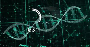 DNA iplikçiklerinin animasyonu, kara arkaplanda tarama kapsamı üzerinde veri işleme. Küresel bilim, yapay zeka, bağlantılar, hesaplama ve veri işleme kavramı dijital olarak oluşturulmuş video.
