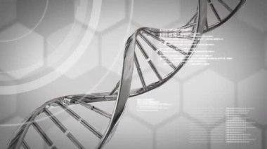 DNA iplikçikleri üzerinde dijital veri işleme animasyonu. Küresel bilim, bağlantılar, hesaplama ve veri işleme kavramı dijital olarak oluşturulmuş video.