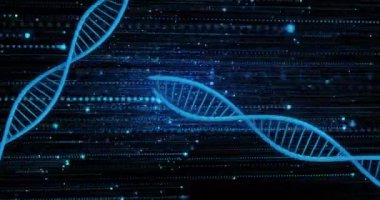 Işık yollarının üzerindeki DNA ipliklerinin ve siyah arkaplandaki lekelerin animasyonu. Küresel bilim, bilgisayar ve dijital arayüz kavramı dijital olarak oluşturulmuş video.