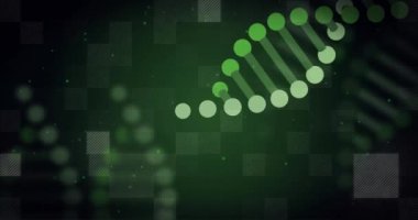 DNA dizisi ve ikili kodlama, bilimsel veri işleme animasyonu. Genetik, biyoteknoloji, biyoenformatik, dijital, kod, bilim