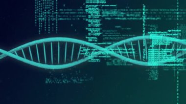 DNA iplikçiklerinin üzerinde veri işleme animasyonu. Bilim, teknoloji ve dijital arayüz kavramı dijital olarak oluşturulmuş video.