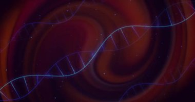 Kırmızı şekillerin üzerinde hareket eden DNA iplikçiklerinin animasyonu. Bilim, teknoloji ve dijital arayüz kavramı dijital olarak oluşturulmuş video.