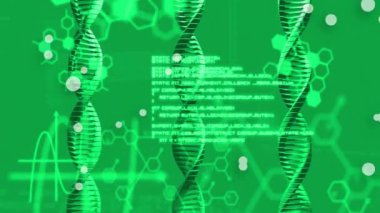 DNA iplikçikleri ve noktalar üzerinde veri işleme animasyonu. İş, teknoloji ve dijital arayüz kavramı dijital olarak oluşturuldu.