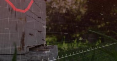 Bahçedeki kovanın etrafındaki arılar üzerinde kırmızı çizgi animasyon azalıyor. Finans, düşüş, risk, kriz, tarım, çevre