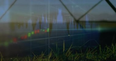 Çimen ve gökyüzü manzarası üzerine borsa veri animasyonu. Finans, yatırım, ekonomi, borsa, ticaret, veri görselleştirme