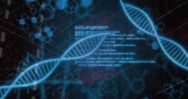 DNA iplikleri, moleküler yapılar, bilimsel veri işleme animasyonu. Bilim, teknoloji, genetik, genom, biyoteknoloji, laboratuvar