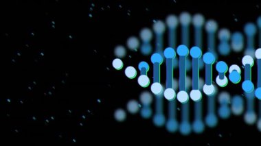 Siyah arka planda dönen DNA iplikçiklerinin animasyonu. Küresel bilim, bağlantılar, hesaplama ve veri işleme kavramı dijital olarak oluşturulmuş video.