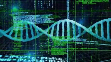 DNA ipliği üzerinde veri işleme animasyonu. Bilim, teknoloji ve dijital arayüz kavramı dijital olarak oluşturulmuş video.