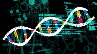 DNA ipliği üzerinde veri işleme animasyonu. Bilim, teknoloji ve dijital arayüz kavramı dijital olarak oluşturulmuş video.