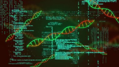 DNA iplikçiklerinin üzerinde veri işleme animasyonu. Bilim, teknoloji ve dijital arayüz kavramı dijital olarak oluşturulmuş video.