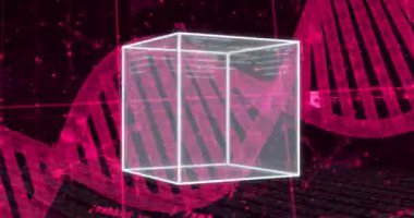 Küp animasyonu, DNA standı üzerinde dijital veri işleme. Küresel bilim, bağlantılar, hesaplama ve veri işleme kavramı dijital olarak oluşturulmuş video.