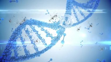 DNA ipliği üzerinde dijital veri işleme animasyonu. Küresel bilim, bağlantılar, hesaplama ve veri işleme kavramı dijital olarak oluşturulmuş video.