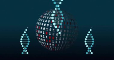 DNA iplikçikleri üzerinde ikili kodlama ile dijital veri işleme animasyonu. Dijital olarak oluşturulmuş küresel bağlantılar, hesaplama ve veri işleme kavramı.