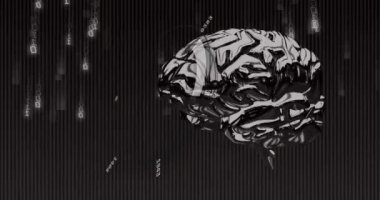 Siyah arkaplan üzerinde insan beyniyle ikili kodlama ve veri işleme animasyonu. Küresel bilim, bağlantılar, hesaplama ve veri işleme kavramı dijital olarak oluşturulmuş video.