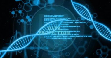 Siyah arka planda dönen DNA iplikçikleri üzerinde dijital veri işleme animasyonu. Küresel bilim, bağlantılar, hesaplama ve veri işleme kavramı dijital olarak oluşturulmuş video.